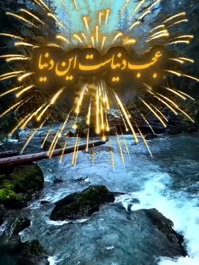 عجب دنیاست این  دنیا 😪 😓 😭😢 🥀🥀🥀🥀 #عشق #عاشقانه #دوستت_دارم #دلنوشته #احساسی #دلتنگی #عشق_بی_پایان #رابطه #زوج #لحظه_های_عاشقانه #قلبی #رومانتیک #متن_عاشقانه #حس_خوب #دو_نفره #کنارت #تو_و_من #عشق_ابد‌ی #دلم_برات_تنگ_شده #عشق_من #Love #lovestory #relationshipgoals #couplegoals #romance #TrueLove #soulmate #lovequotes #couplevideos #romantic #LoveIsLove #hearttouching #cute couple #deepfeelings #emotional #lovevibes #lovers #couplelife #youandme #foreverlove