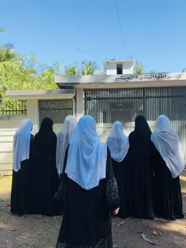 বিদায় 💔💔@🦋🦋Nijum Islam🦋🦋 @tonuuuu👀🌷 @~Nabihah~ @>_<🌼Aster🌼>_< @🦋🦋 _ Mahi_🦋🦋 