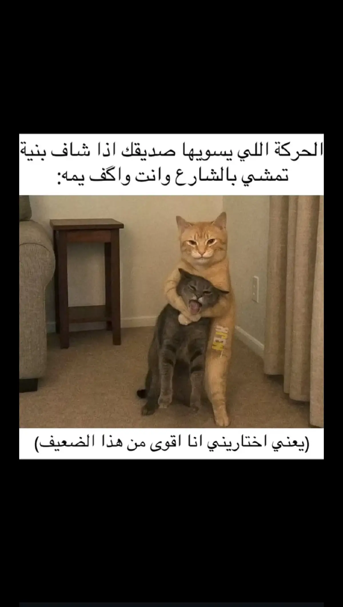 #viral #fyp #ميمز #رياكشنات #رياكشن 