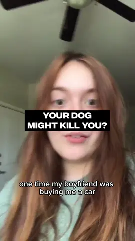 ‘He’s a chihuahua’ 😭😭 [🎥: via/ lilbabyadrie]