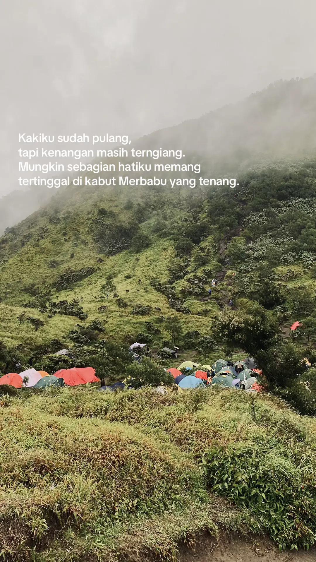 merbabu candu #pendakigunung #pendakiindonesia #merbabu #merbabuviasuwanting #merbabuviaselo 