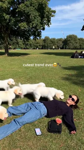 joining the puppy trend 🐶🐾 #winkapp #puppy #aitrend 