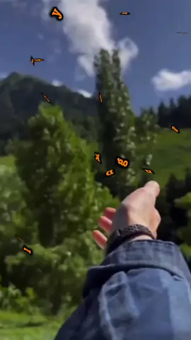 assalamu alaikum #bismillahirrahmanirrahim #motifasikehidupan #doakuhariini #fypppppppppppppppppppppppppppp 