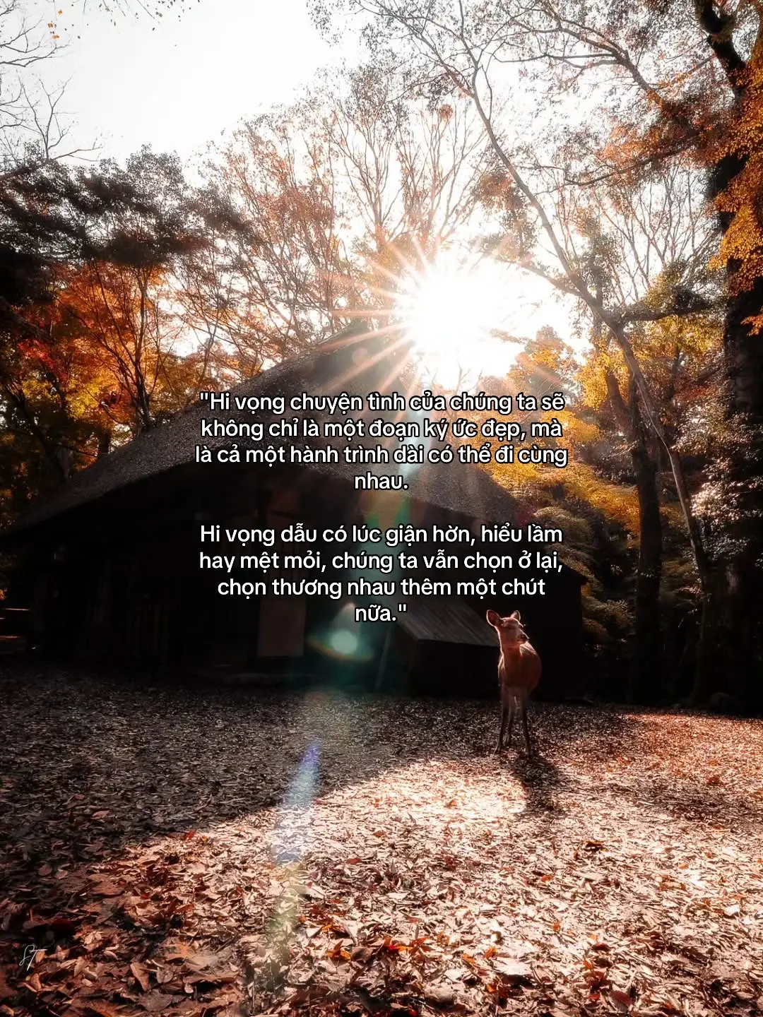 @meo tít ngố #ptrug #fyp #xh 