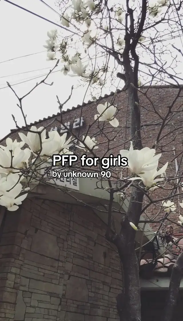 PFP for girls 🩷🩷
