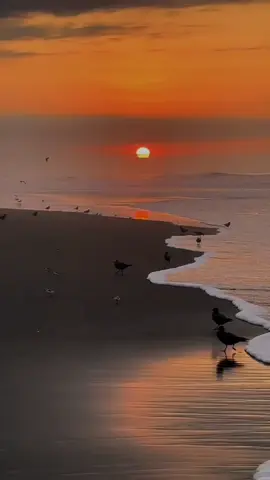 BENDECIDO VIERNES PARA TODOS🙏🏻🤗🤗🤗🤗🤗🤗🤗🤗#seguidores❤ #frases #paratii #viernes #amen🙏 