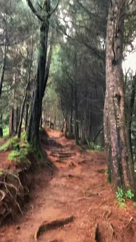 prau patak banteng jalur lama #porterdieng #porterwonosobo #guidegunung #praumountain 