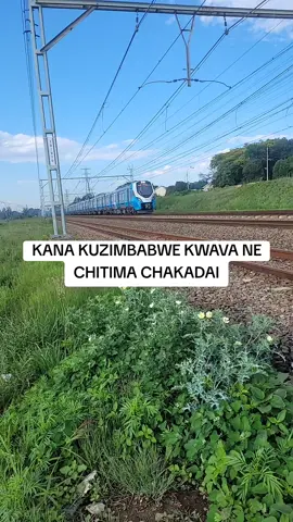 #zimtiktokers🇿🇼🇿🇼🇿🇼 