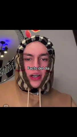 #luissanchez #clips #live #factos #luissanchezlive 