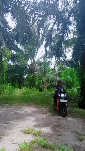 #ngikutintrend  #healingnaikmotor  #fypage 