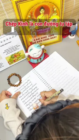 Chép Kinh là con đường tu tập  Dùng Thân Để Hành Trì.... #lenxuhuong #xuhuong #phatphapnhiemmau #chepkinhdiatang #kinhdiatang 