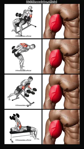 ✅ Arm Workout using Dumbbells  ① Incline Curl ② Kickback  ③ Incline Prone Hammer Curl ④ Laying Triceps Extension  3 sets 12-15 reps 