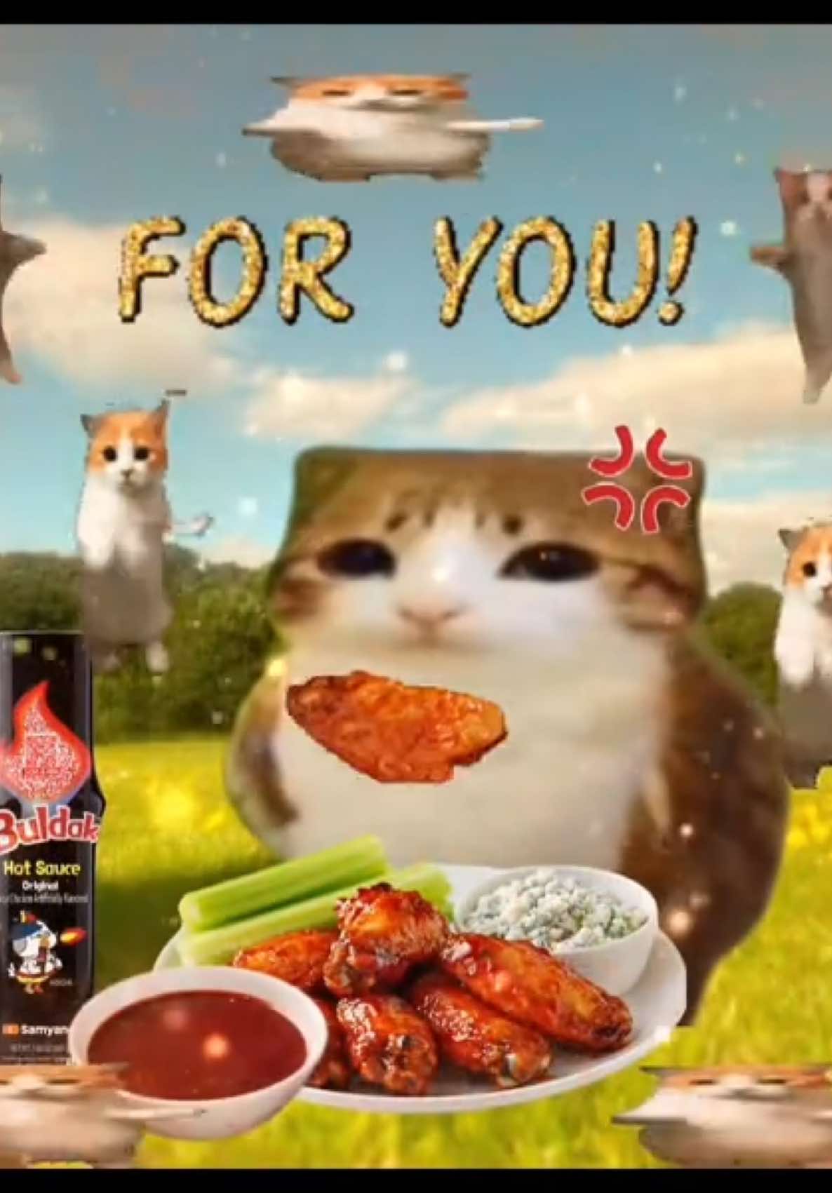 for you!! 😸🍗🐈 #cats #popowpartner #sillycat #buldak #meowl 