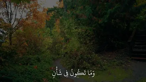 ﴿وَما تَكونُ في شَأنٍ وَما تَتلو مِنهُ مِن قُرآنٍ﴾ [يونس: ٦١]#ياسر_الدوسري #سورة_يونس #اكتب_شي_توجر_عليه 