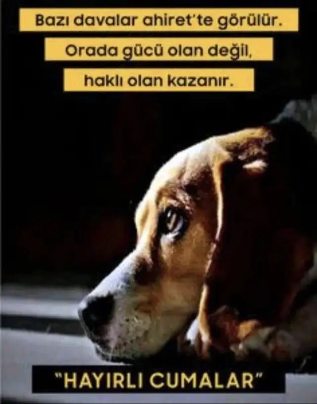 Sizinle derdi olanın, derdi bitmesin.. #hayırlıcumalar  #cuma #ölümvar #hey #insan