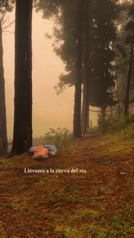 #CastleOfGlass #linkinpark 💙