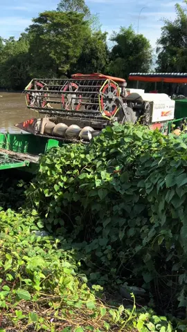 Cổng chào Tân tuyến ai gặp hú nhe 😆🥰#xhuong #67angiang❤ #2008❤️ 