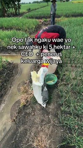 Labuhan rodok ngelu@Puji T.J akhir i ae #petanibawangmerah#petanimuda#bawangmerah#bawangmerahnganjuk#petaniindonesia🇮🇩🇮🇩🇮🇩🌿🌿 