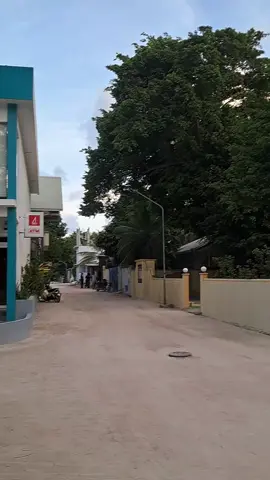 মালদ্বীপের প্রবাসী