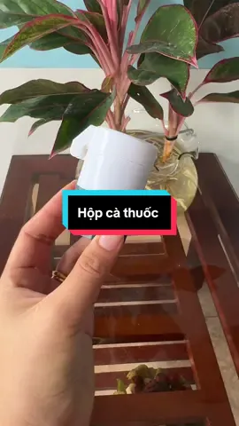 Hộp cà thuốc 4 trong 1 luôn  #hamy #review #viral  @Hà My 