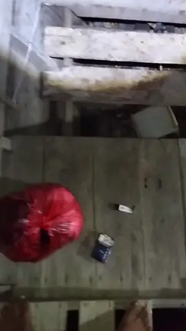 kita gas lagiii #kulisawitriau #menyalaabangkuh🔥🔥🔥🔥🔥 #tiktok #trendingtiktok #sayangorangtua 