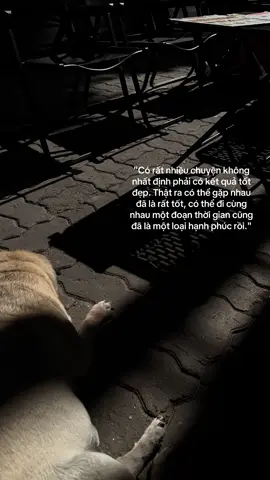 Trên đoạn đường chúng ta tìm lại chính mình. Một là, không có cuộc vui nào hứng thú bằng việc kiếm tiền. Hai là, không có người nào khiến bạn muốn đi tìm tình yêu thêm lần nào nữa. #tamtrang #tiktok #trending #tinhyeu 