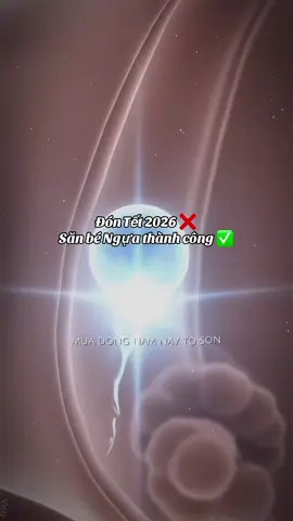 Xin chào con yêu, chào mừng con đã đến với thế giới này. Mong con yêu luôn khoẻ, bám mẹ thật chặt, đủ ngày đủ tháng ra với bố mẹ và Anh Hai nha 🥳 Cả nhà yêu con 💋🥰♥️ #embe🐎 #bínhngọ2026🧧🎆 