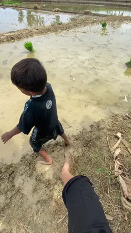 Bagian ngiremm, dokumentasi siap menerima fuluss😂#petaniindonesia🇮🇩🇮🇩🇮🇩🌿🌿 #sawah #pucakwangi #desa #ypfッ 