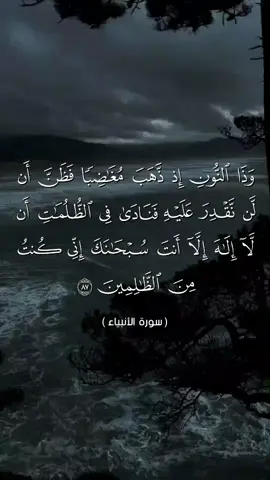 #ارح_سمعك_بالقران #اسيرالصمت00249 #الشيخ_الزين_محمد_احمد #creatorsearchinsihts #الشعب_الصيني_ماله_حل😂😂 