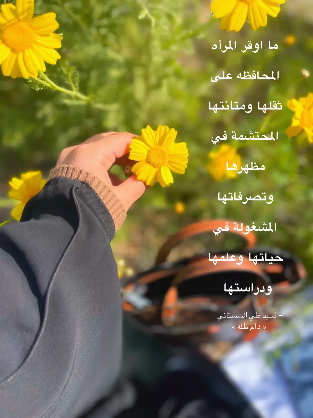 #السيد_علي_السيستاني #العباءة_الزينبية #fyp #المرأة 