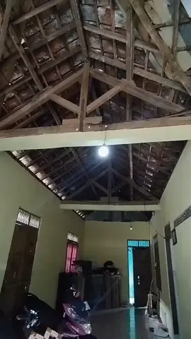 sein dajjal+klakson putus putus😋#seindajjal #relayklaksonputusputus #relayklaksonshinagawa #klaksonpatahpatah #tubrukgank 