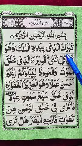 Recitation Of Quran Surah Al-Mulk Complete Tilawat 🌎 👌  #🖤 #quran #fyp #fypシ゚viral #foryoupage 