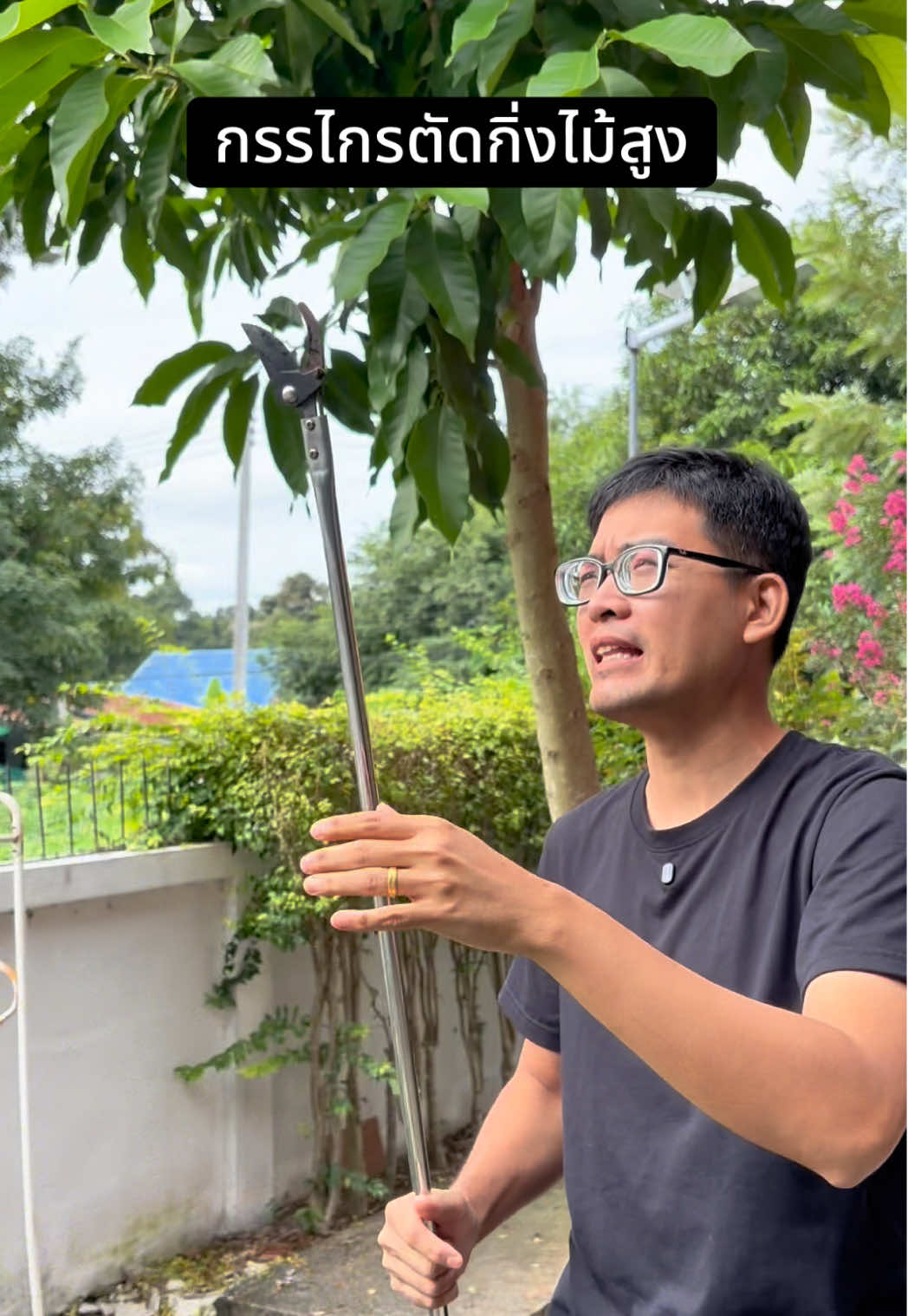 กรรไกรตัดกิ่งไม้สูงด้ามยาว #กรรไกรตัดกิ่งไม้สูง #กรรไกรตัดกิ่งด้ามยาว #สินค้าปังดันยอดขาย #tiktokshopmallบอกต่อ 
