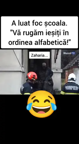 #amuzant #paginadementa 