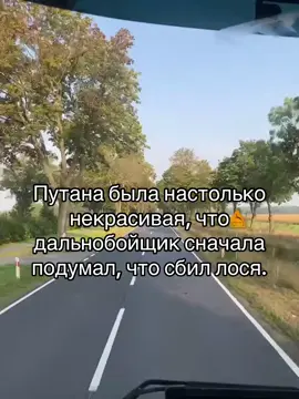 #смешноевидео #шутка #прикол #ржу #анекдот 