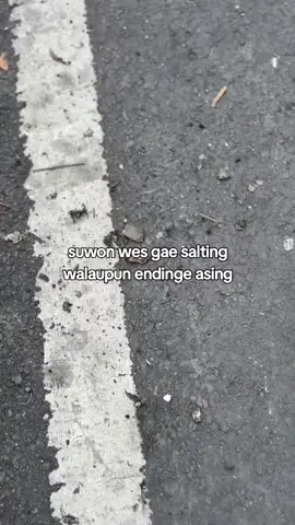 #pacet_mojokerto #pacet24jam #vibesstory 