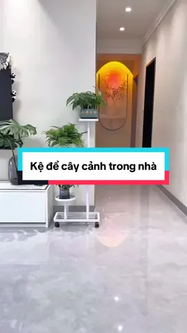 Kệ để cây cảnh trong nhà #giadungtienich #giadungthongminh #fyp #kedecaycanhtrongnha 
