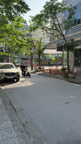 Theo dòng sự kiện QSĐNNĐK#xuhuong #tiktok 