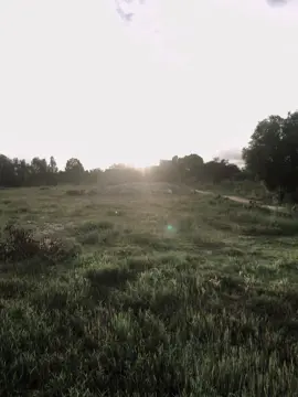 “爱情是美好的，但爱情有时也会让人盲目… ” 