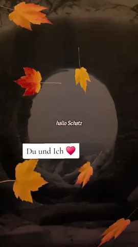 #ichliebedichmeinschatzüberalles♥️♥️ #verheiratet♡ #dubistmeinleben♥️👰‍♀️🧑‍💼 #dubistmeinlebenmeimzuhauseschatz🔐😘💍 #lasseinherzda❤ 