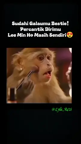 Hayo Ngaku Cinta Pertamanya Lee Min Ho Di PerDrakoran🤪🤪 Cak Absen Nonton Drama Lee Min Ho Pertama Kali Apa. me: BBF (F4) #leeminhoo #aktorkorea #zyxcba #fyp #fyppppppppppppppppppppppp 