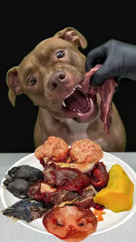 @バウンスチャンネル/ピットブルの日常 👈👈みんなフォローしてー🙏😆 #バウンスチャンネル  #ピットブル  #咀嚼音 