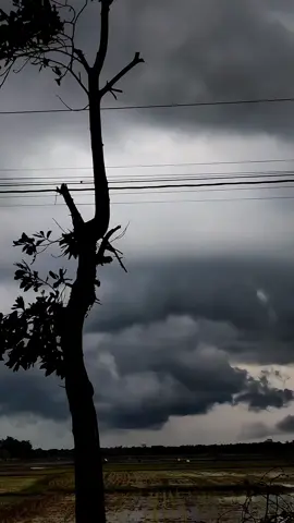 #mentahanvideo #videomentahan #mentahan #intelid 