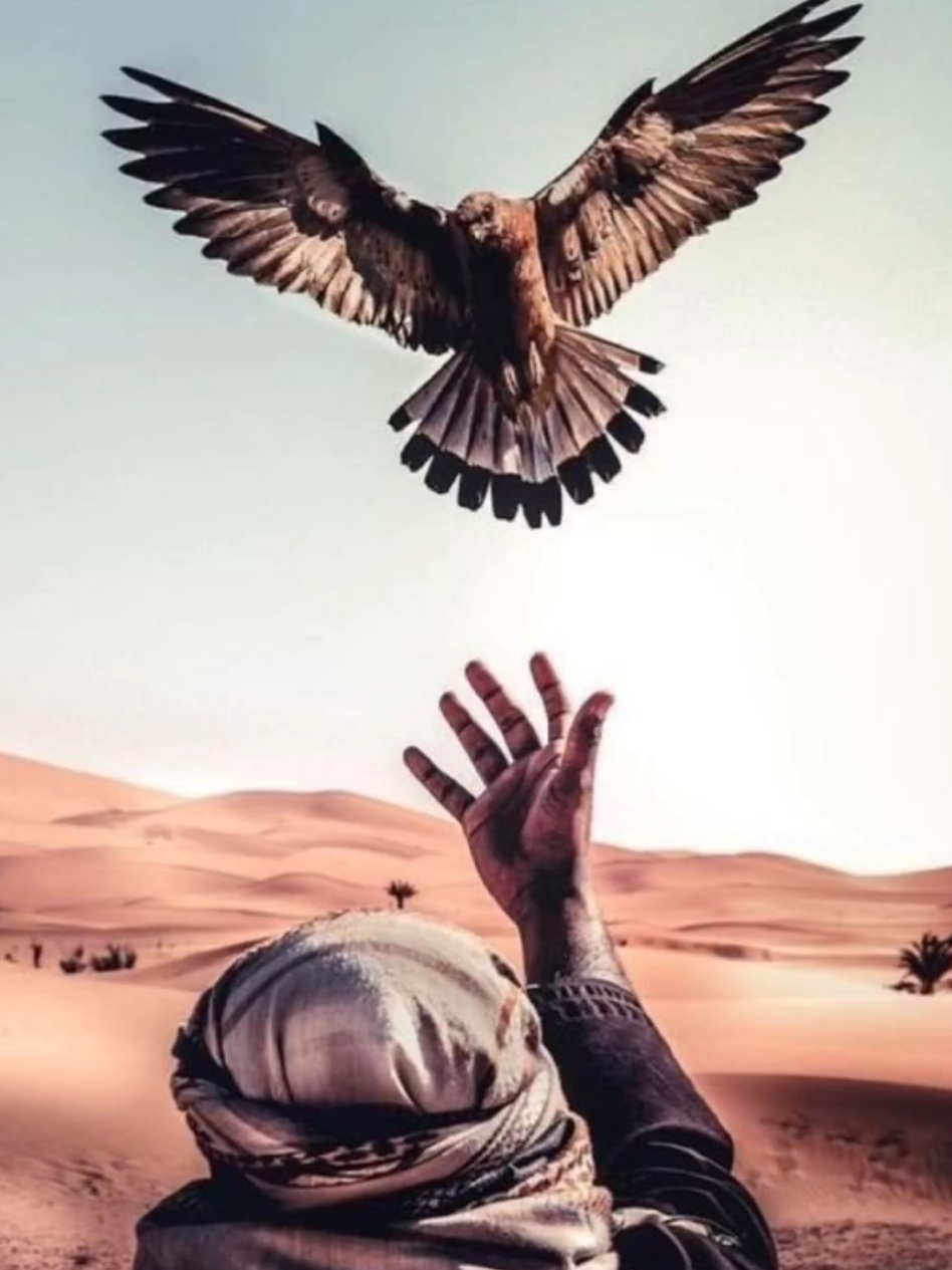 #انا_الدلة_تركعلي🦅👑 #تابعني_متخسر_شي_🖤✨ #قالب_جاهز_نار🔥 #قالب_كاب_كات_جاهز #CapCut 