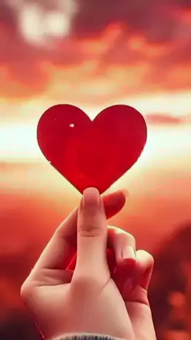 🌹❤️#foryoupage #foryou #fyp #foryou #foryou 