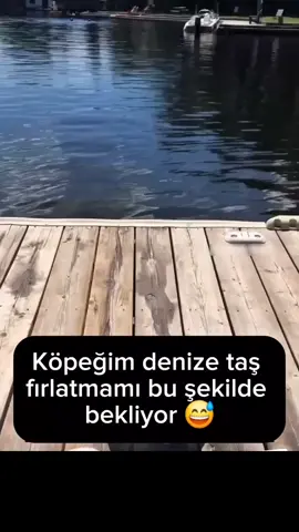 funny video 10063 😂 #komedialemi #komedi #mi̇zah #funny #şaka 