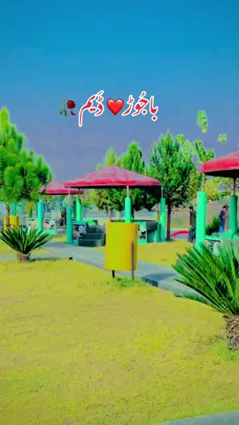 #🌷🥀💗❤️🌷🥀 #❤️💙💙🦅 #🥀🥀🌱🌱🌾 #❤️💙💙🦅 