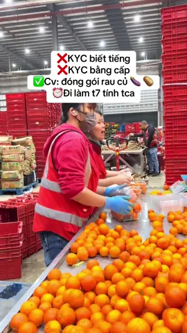 #dondidai #taiwan #dailoan #donhangdailoan 