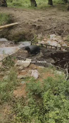 Ketika rain du melanda  #sawitviral #bendungan  #sawitontiktok #viraltiktok 