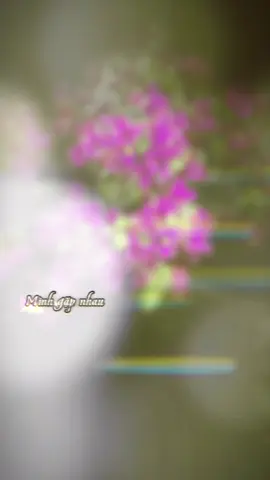 Mình gặp nhau một lần sao tình trăm vạn lần thương …!!! #vuonamnhac  #nguoiyeunhac  #gocnhoconhac  #nhacnaychillphet  #nhachaymoingay 